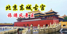 wWW,屄13663jC0m中国北京-东城古宫旅游风景区